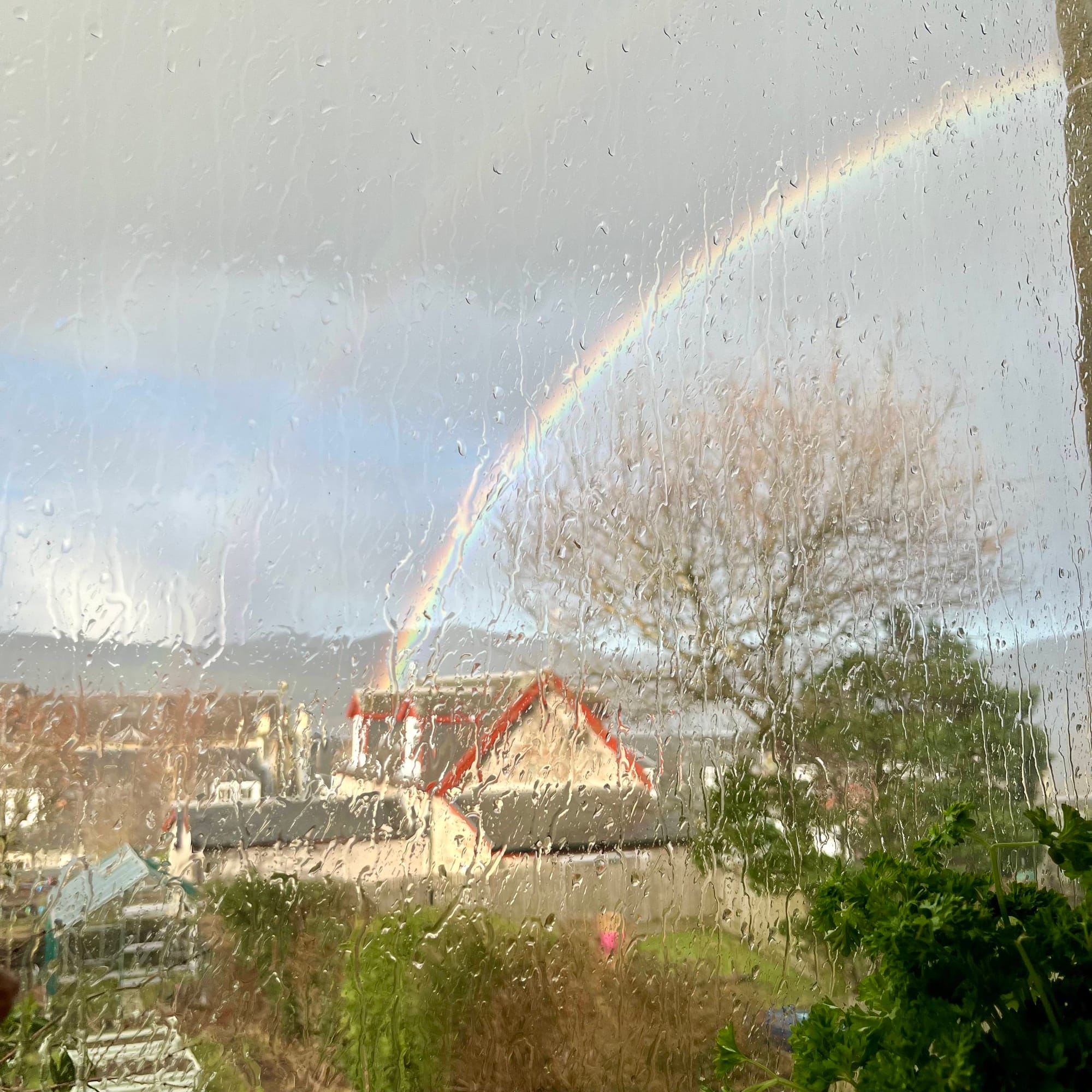 a double rainbow is visible above houses and gardens, behind a window covered in streaks of rain