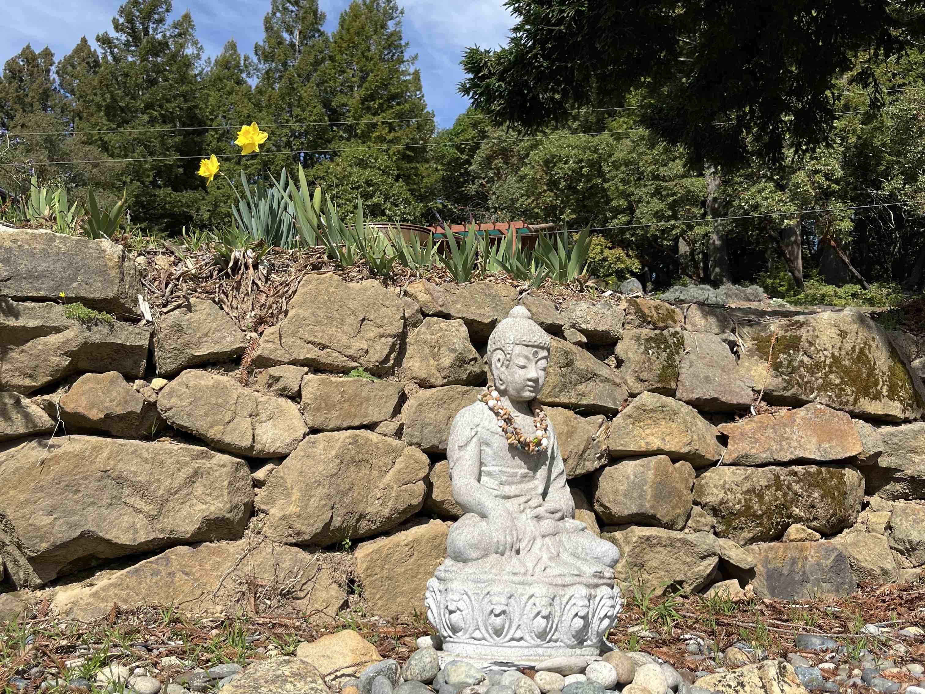 A buddha statue by a rock wall, a couple daffodils, and trees in the background