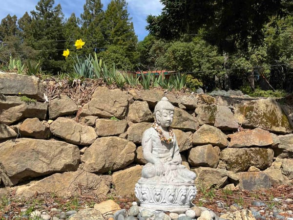 A buddha statue by a rock wall, a couple daffodils, and trees in the background
