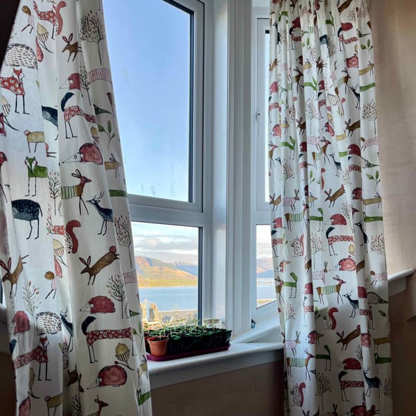 window sill with baby plants, curtains with animal drawings on them, and a view of hills out the window