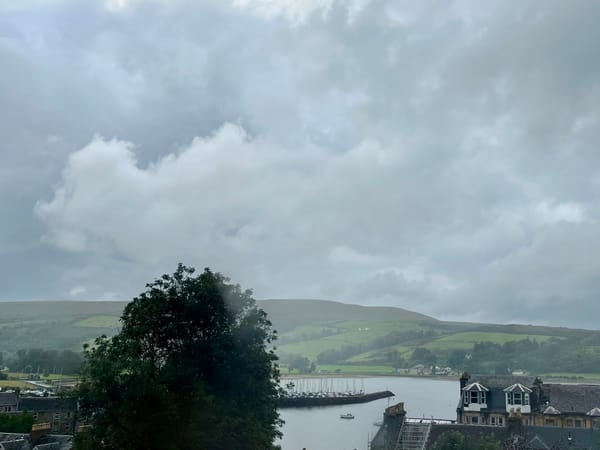 A few houses, a marina, a tree, and clouds above a hill covered in mist. 